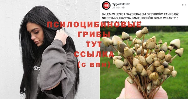 MESCALINE Богданович